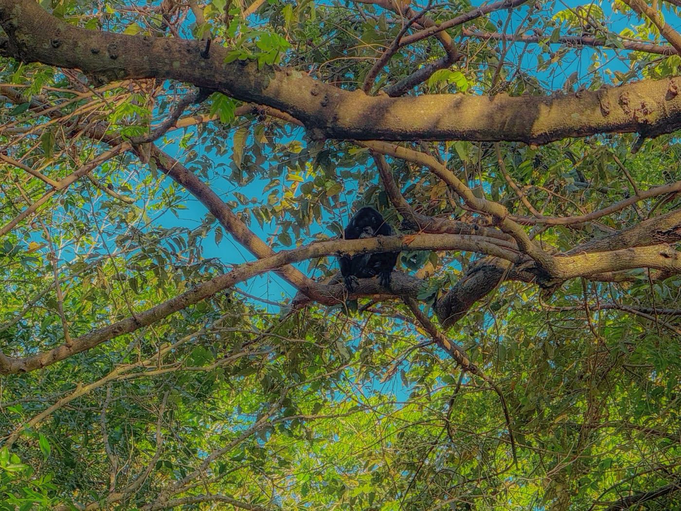 Guanacaste, Costa Rica